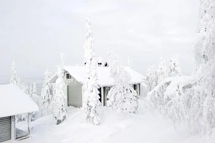 Kotamaeki A * Syöte