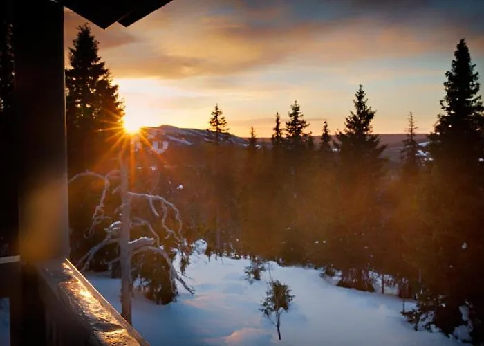 Kotamaeki A * Syöte