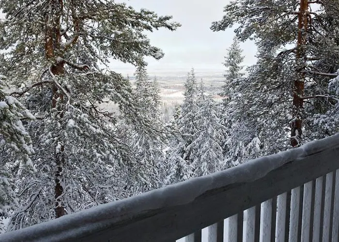 Kotamaeki A * Syöte